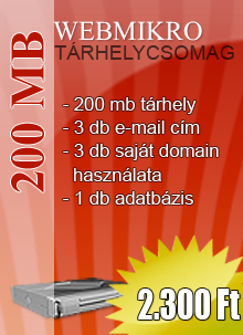 Mikro tárhely